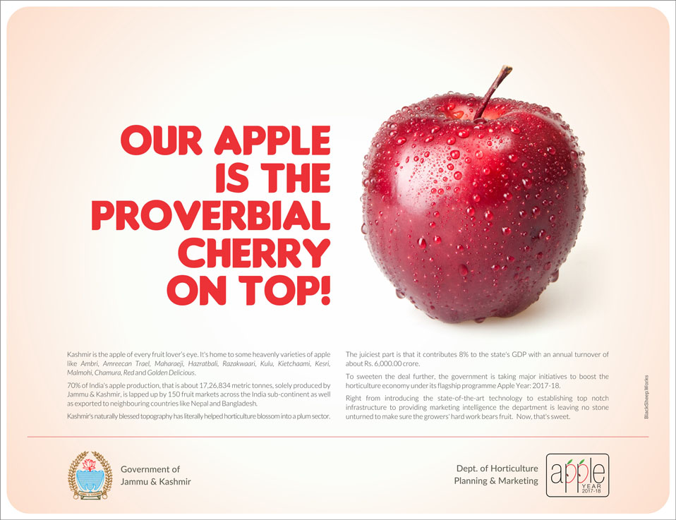 Apple_Campaign_4.jpg