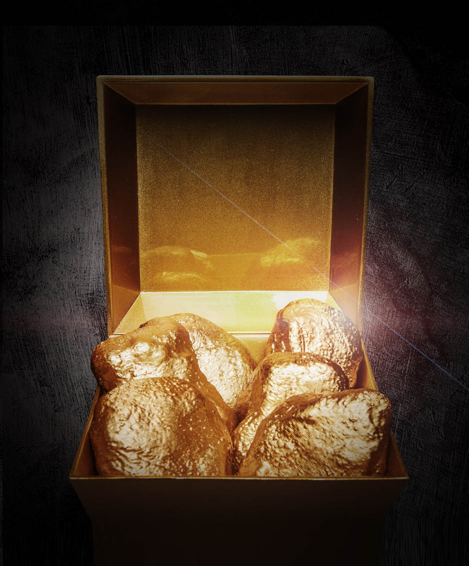 Tribal WW_McDonalds Golden McNuggets1.jpg