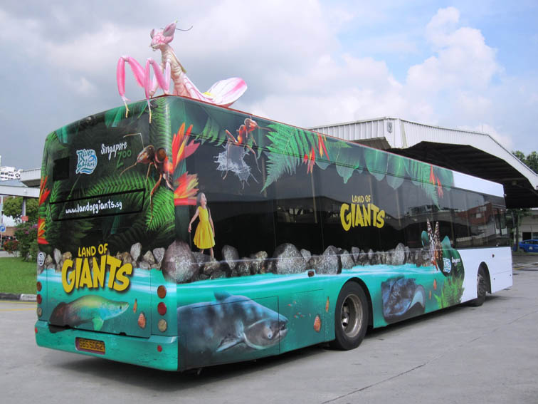 Mantis.jpg