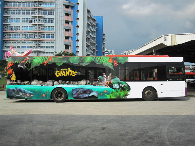 Mantis 2.jpg