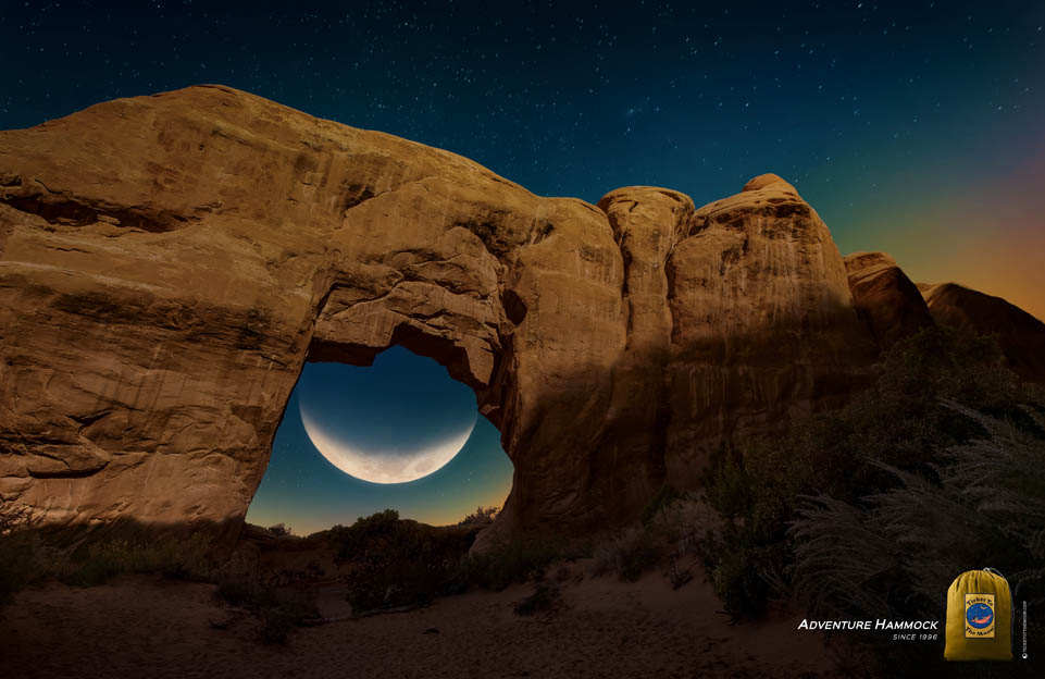 DESERT MOON.jpg