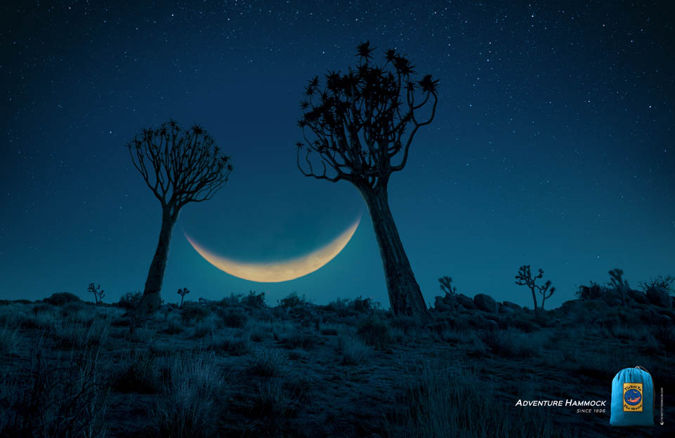 SAVANNAH MOON.jpg