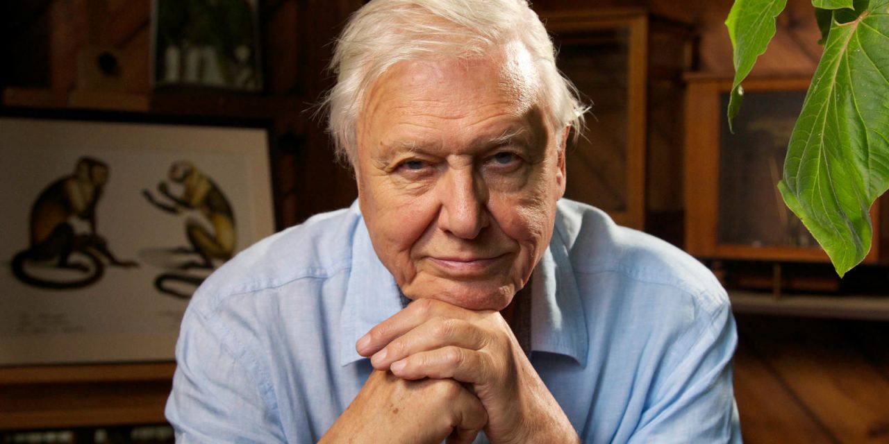 david-attenborough-1280x640.jpg