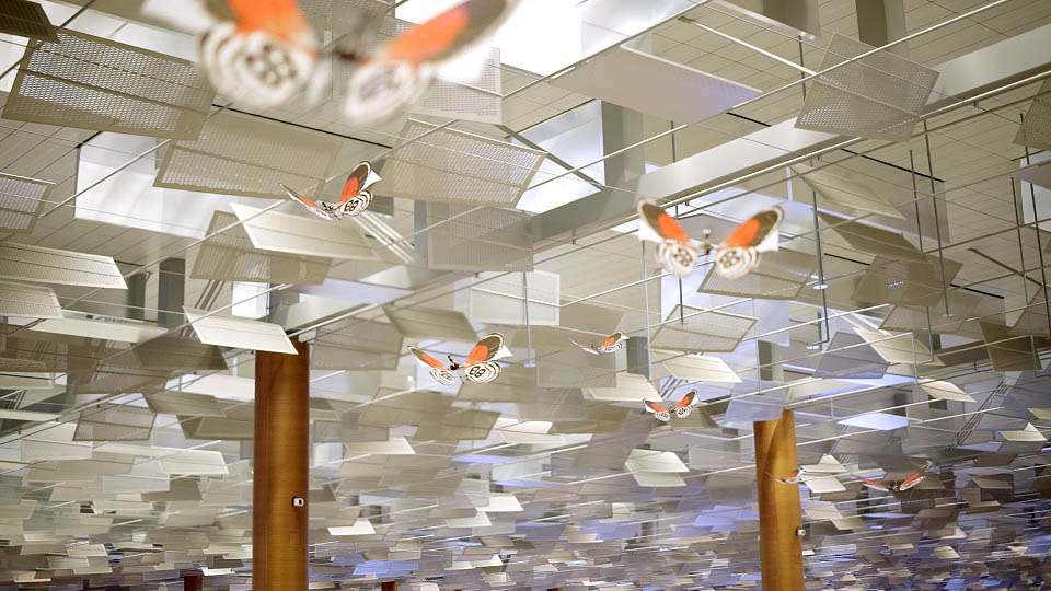 Dancing butterflies flying through Changi Airport as part of 