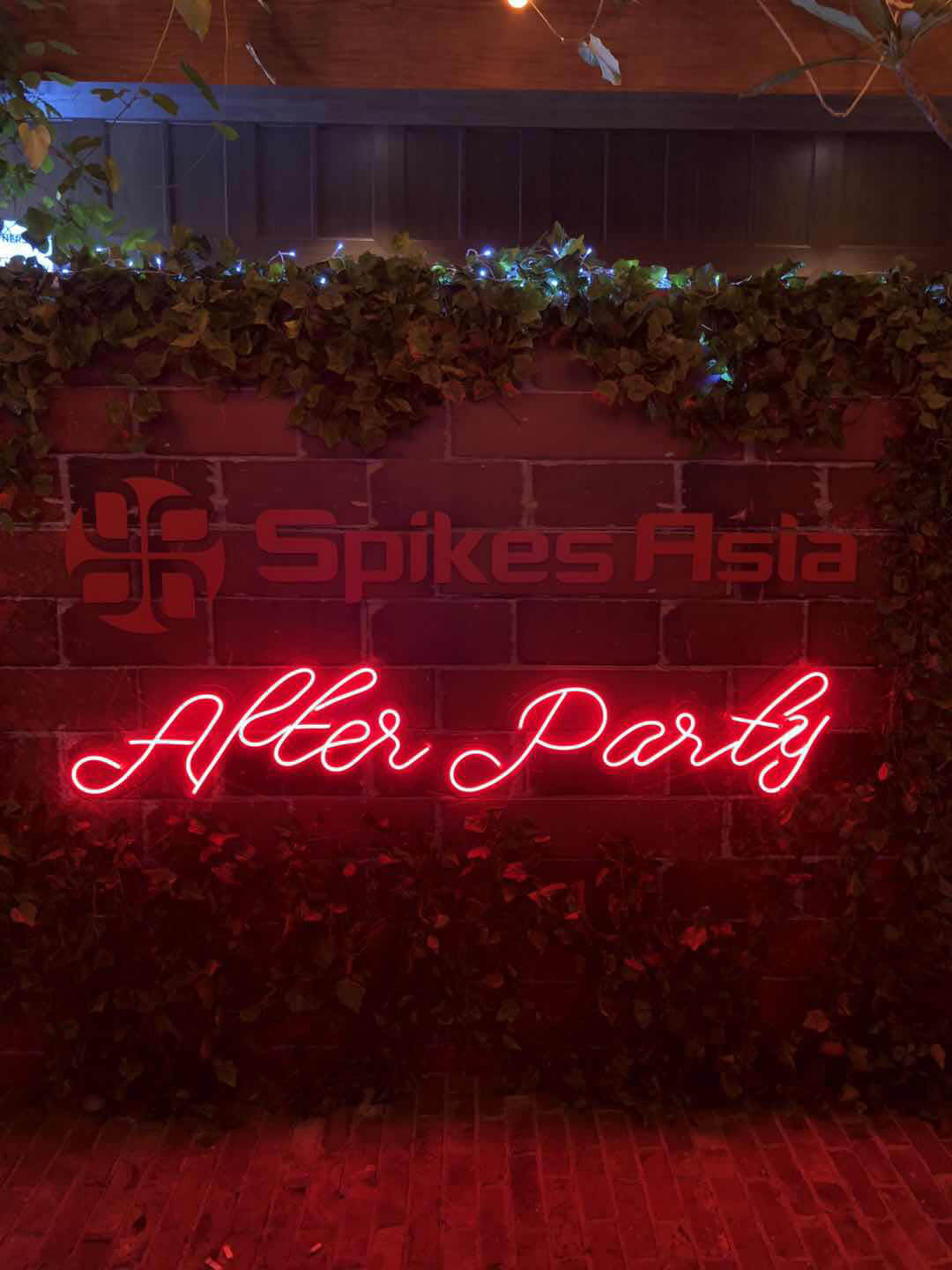 After party.jpg