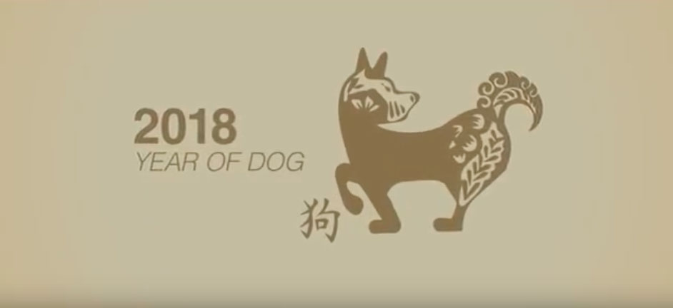 Year of the dog.jpg
