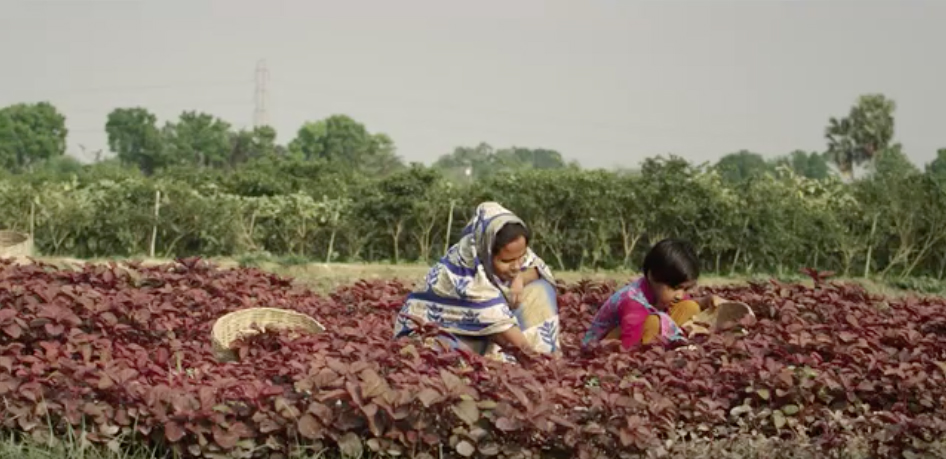 United Commercial Bank and Grey Bangladesh’s initiative transforms fresh fruits and vegetables into bank accounts powered by Shwapno