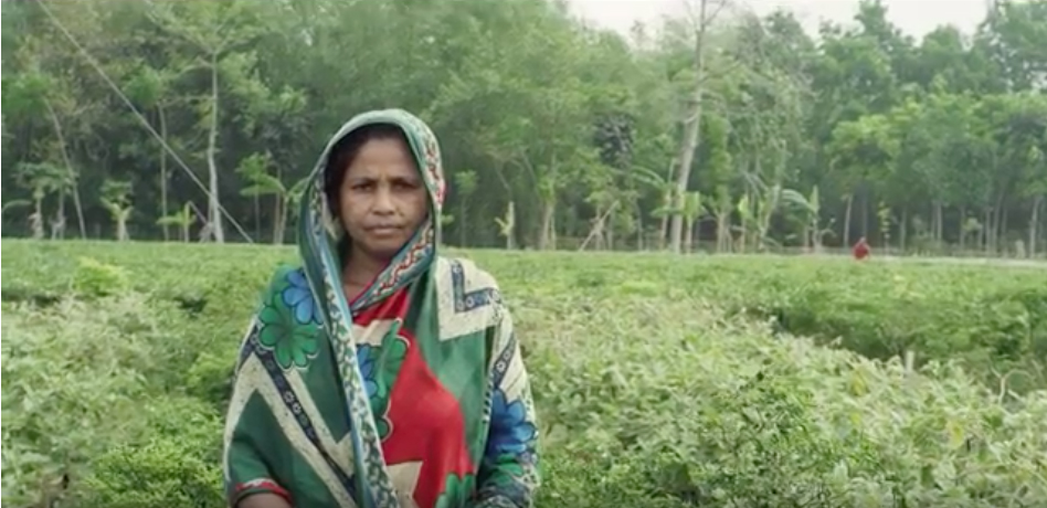 United Commercial Bank and Grey Bangladesh’s initiative transforms fresh fruits and vegetables into bank accounts powered by Shwapno