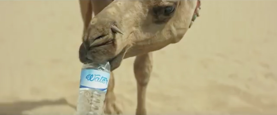 Bisleri Camels are back in a New Avatar of ‘Har Paani Ki Bottle Bisleri Nahin’ campaign created by 82.5 Mumbai