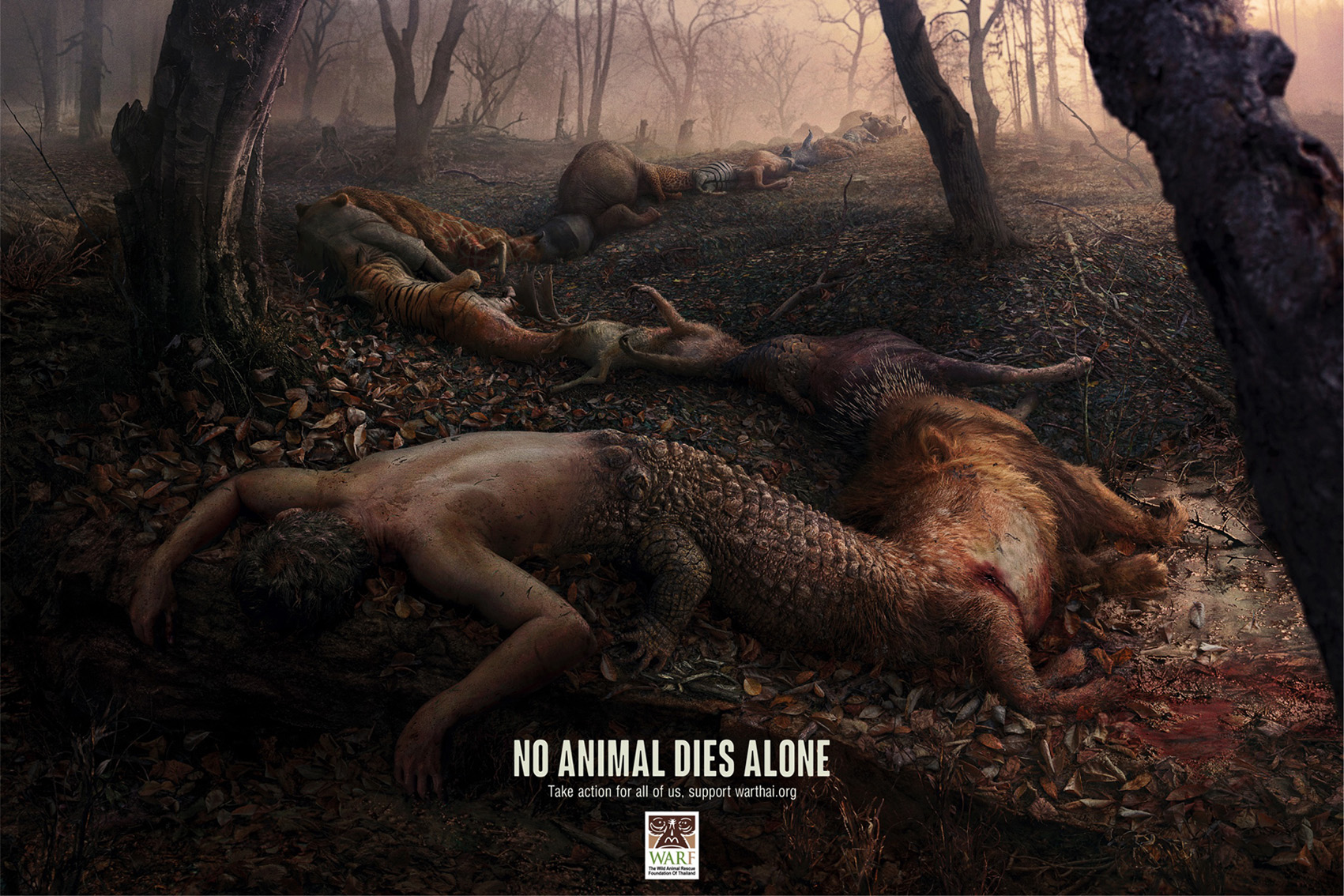 Seen+Noted: No animal dies alone