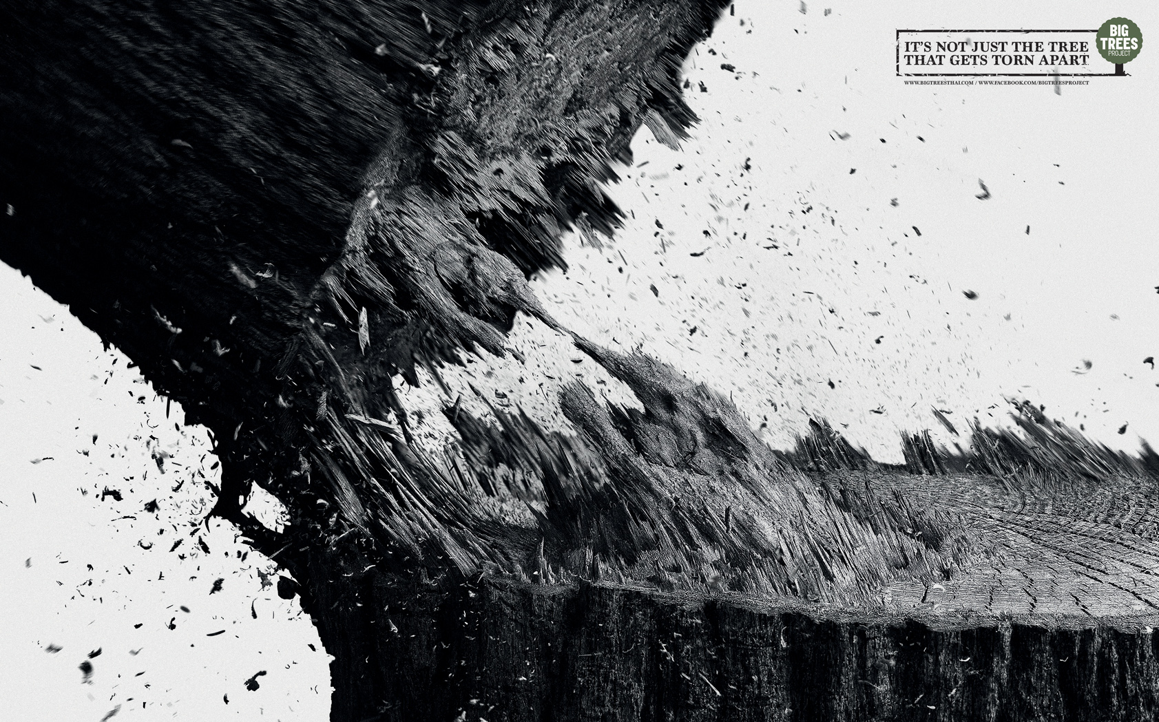TBWA\Thailand tells the story of what is torn apart when a tree is cut to highlight deforestation issue