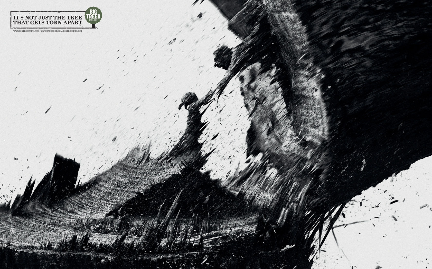 TBWA\Thailand tells the story of what is torn apart when a tree is cut to highlight deforestation issue