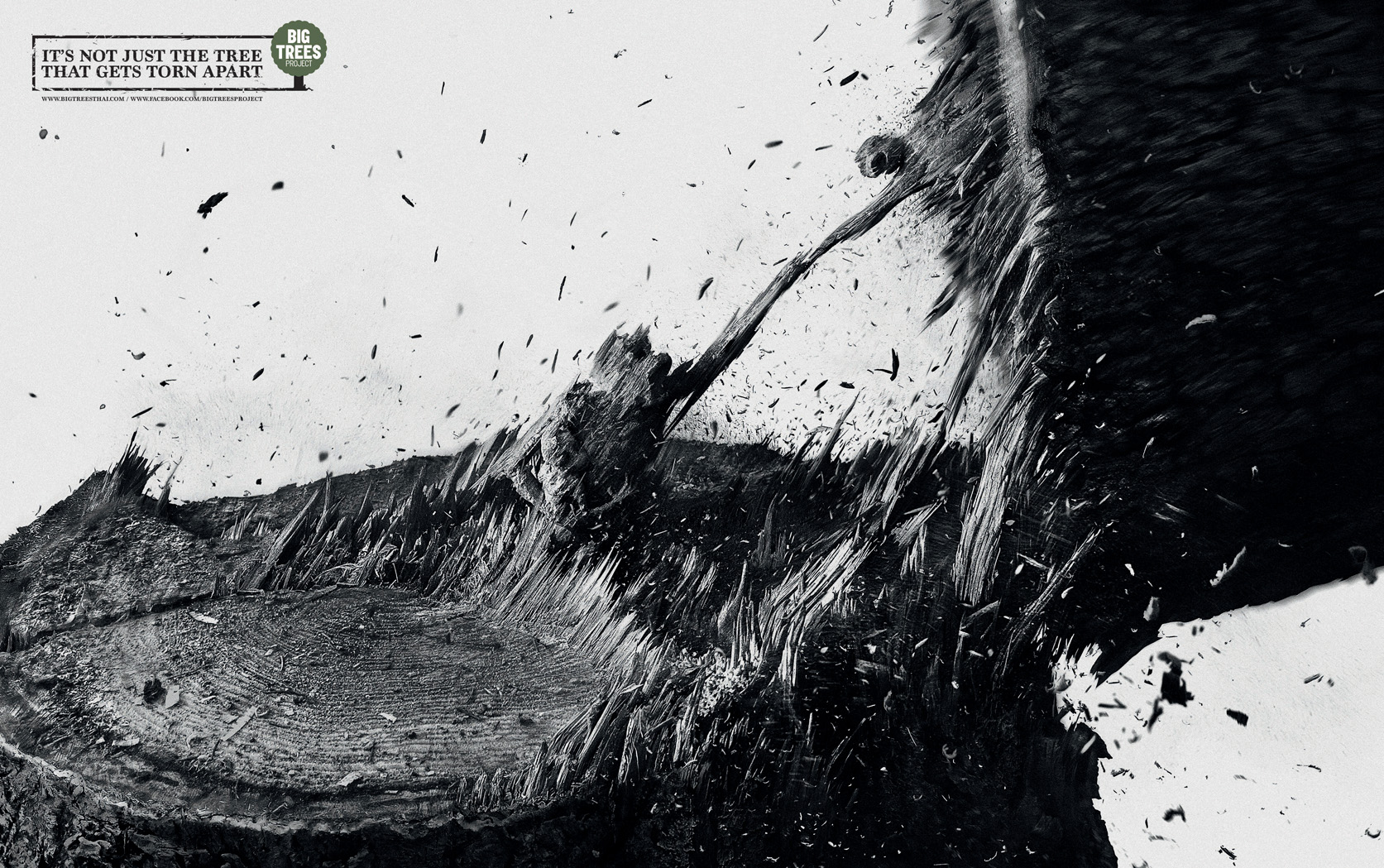 TBWA\Thailand tells the story of what is torn apart when a tree is cut to highlight deforestation issue