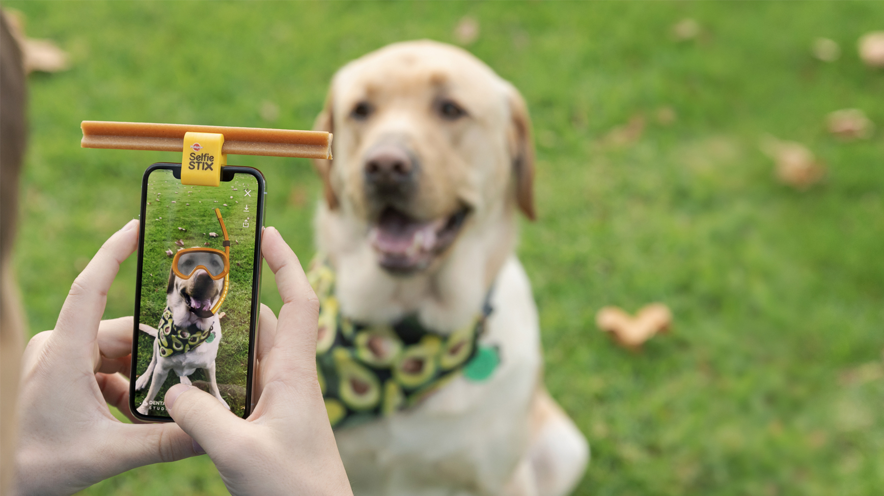 Pedigree launches new Pedigree DentaSTIX Studios platform to bring the good back to social media with dogs via Colenso BBDO