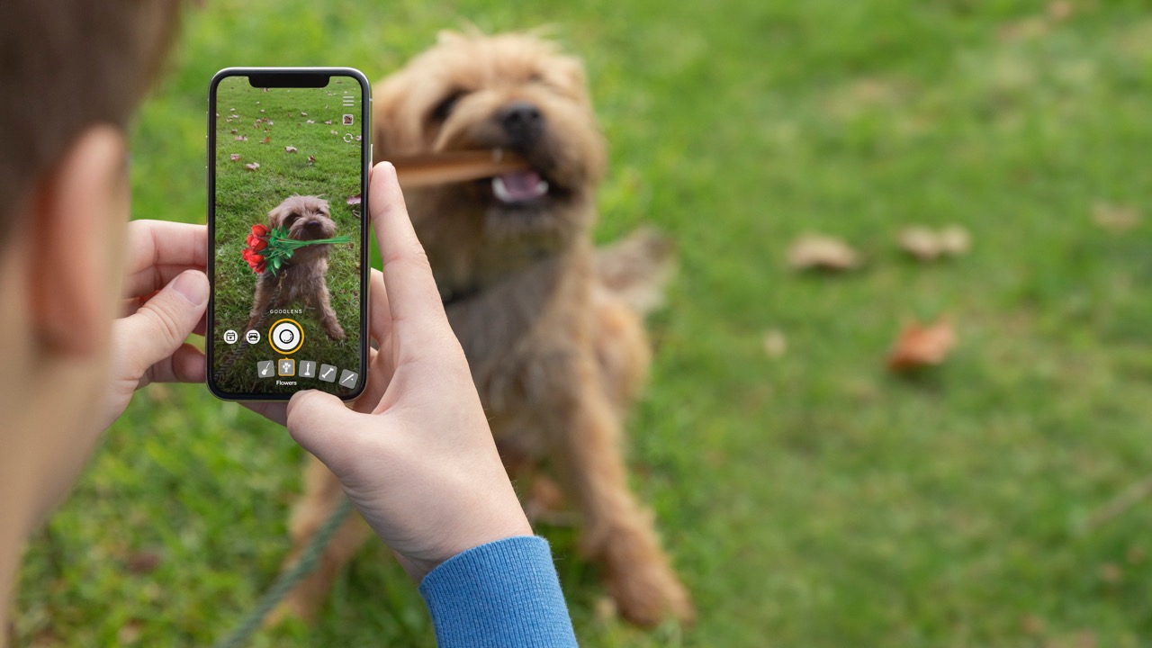 Pedigree launches new Pedigree DentaSTIX Studios platform to bring the good back to social media with dogs via Colenso BBDO