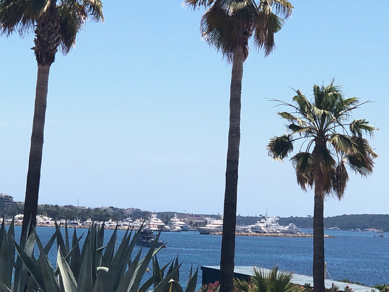 Fiona Leeming’s Cannes Diary #1