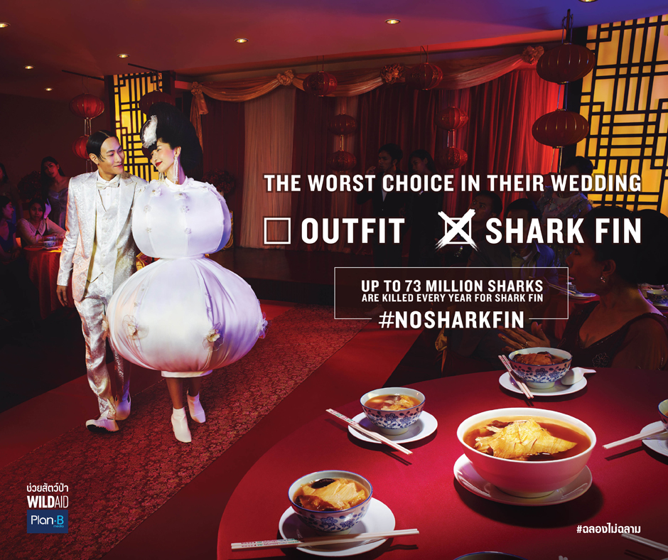 BBDO Bangkok, WildAid and Plan B Call on Thailand to Celebrate Without consuming Shark Fin