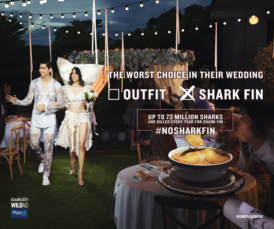 BBDO Bangkok, WildAid and Plan B Call on Thailand to Celebrate Without consuming Shark Fin