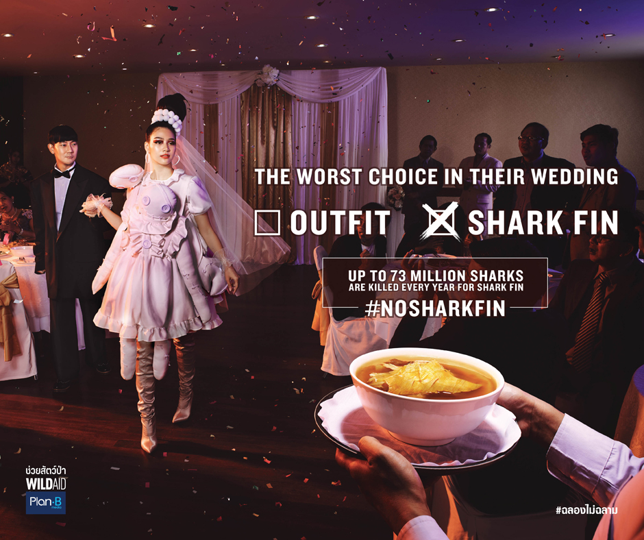 BBDO Bangkok, WildAid and Plan B Call on Thailand to Celebrate Without consuming Shark Fin