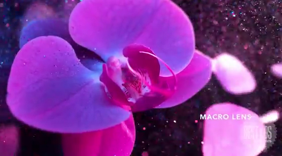 Publicis Shanghai and Marcel Paris capture wonder to promote Huawei’s Honor 20 phone