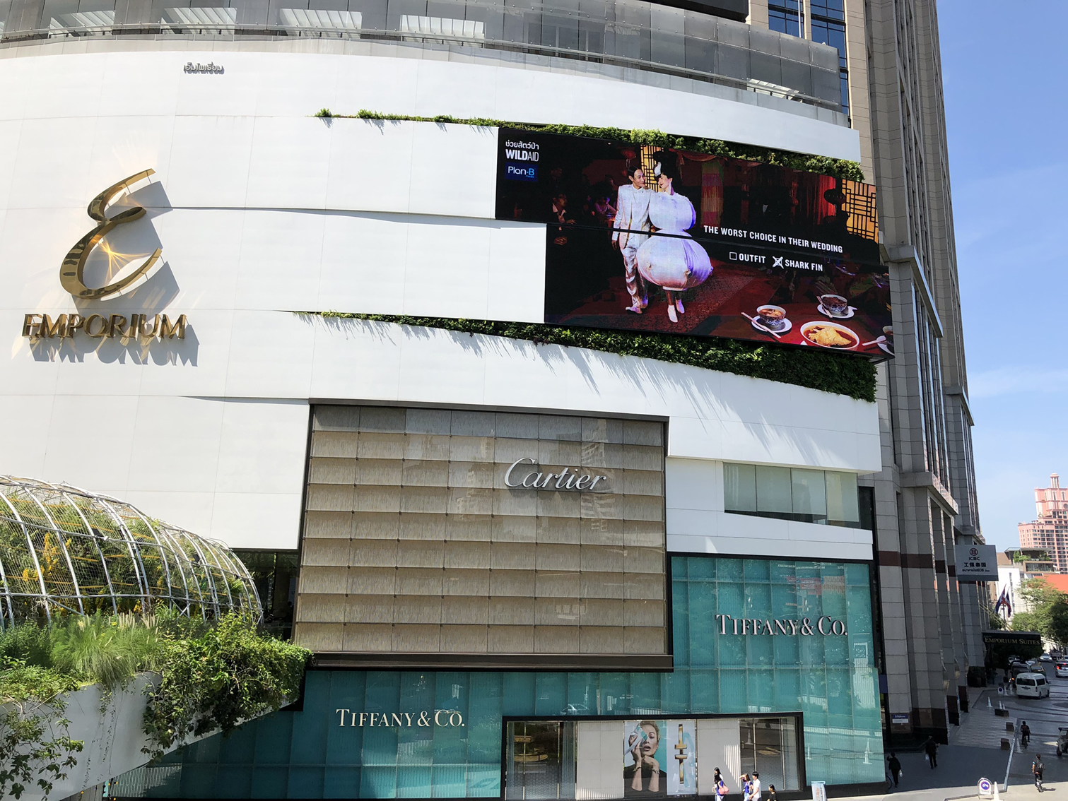 BBDO Bangkok, WildAid and Plan B Call on Thailand to Celebrate Without consuming Shark Fin