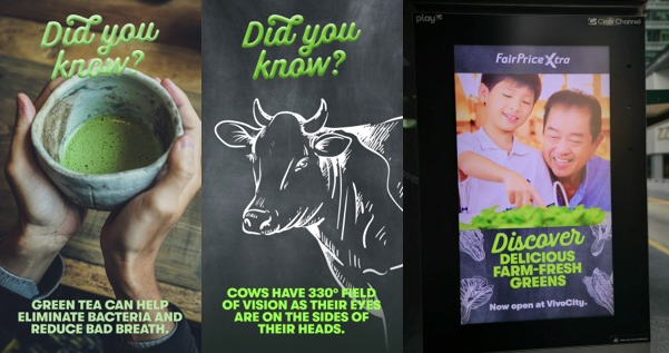 FairPrice XTRA Unveils New Campaign via Havas Media to Promote its Largest Store in Singapore