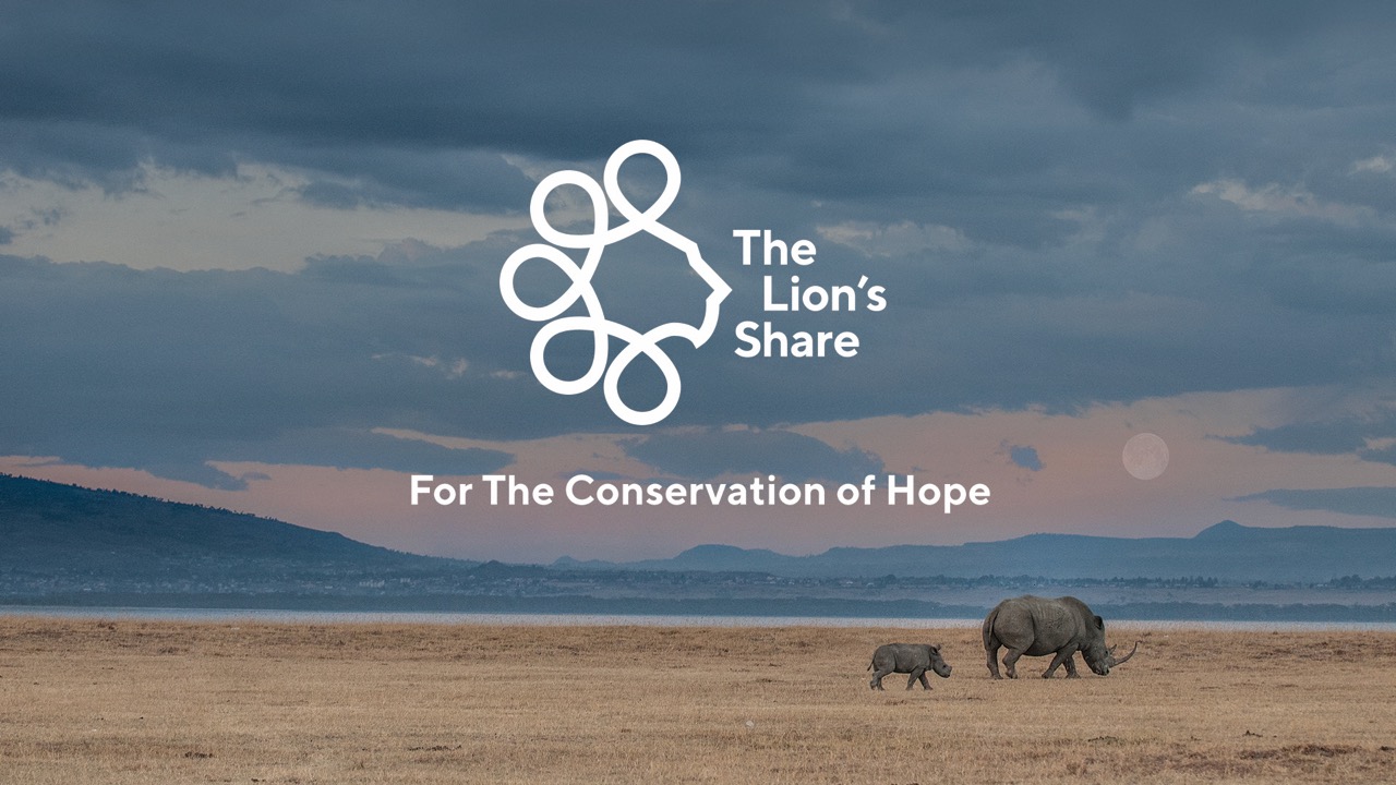 Cannes Lions announces €279,000 distribution of Sustainable Development Goals Lions proceeds; The Lion’s Share Fund, winner of the SDG Lions Grand Prix 2019, receives donation