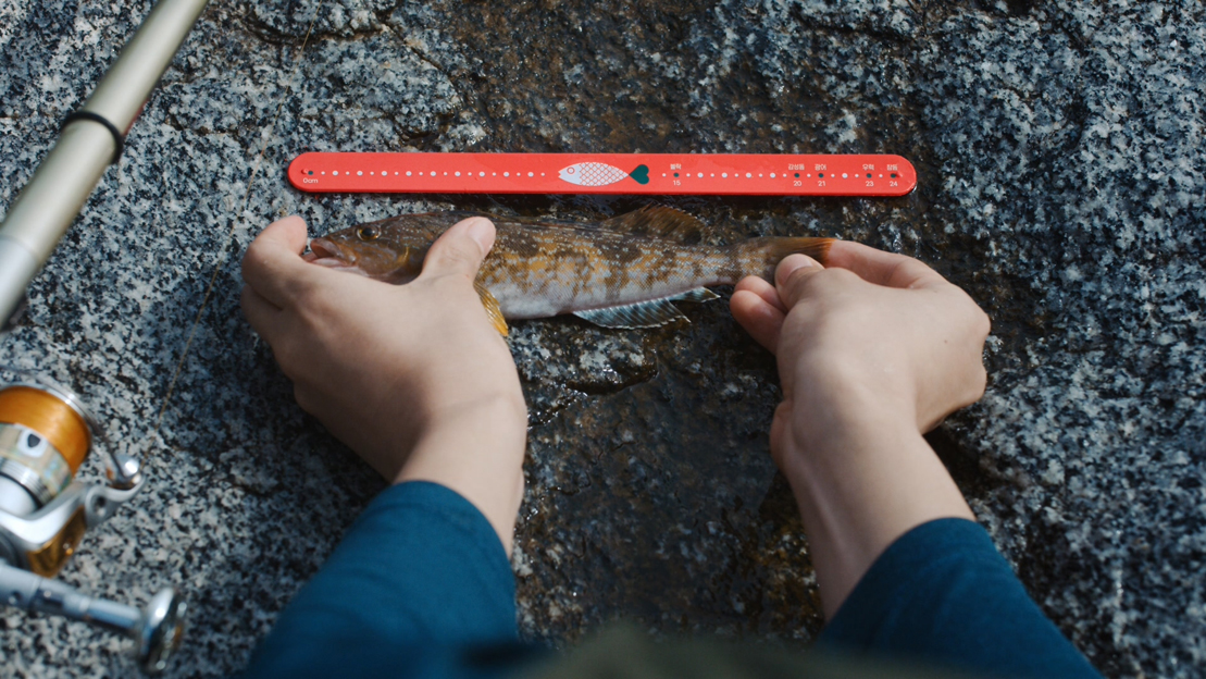 Cheil Worldwide South Korea designs a slap band used to measure the length of fish to raise awareness on overfishing