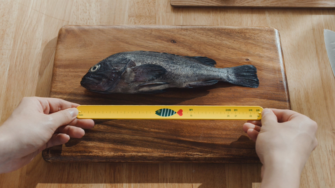Cheil Worldwide South Korea designs a slap band used to measure the length of fish to raise awareness on overfishing