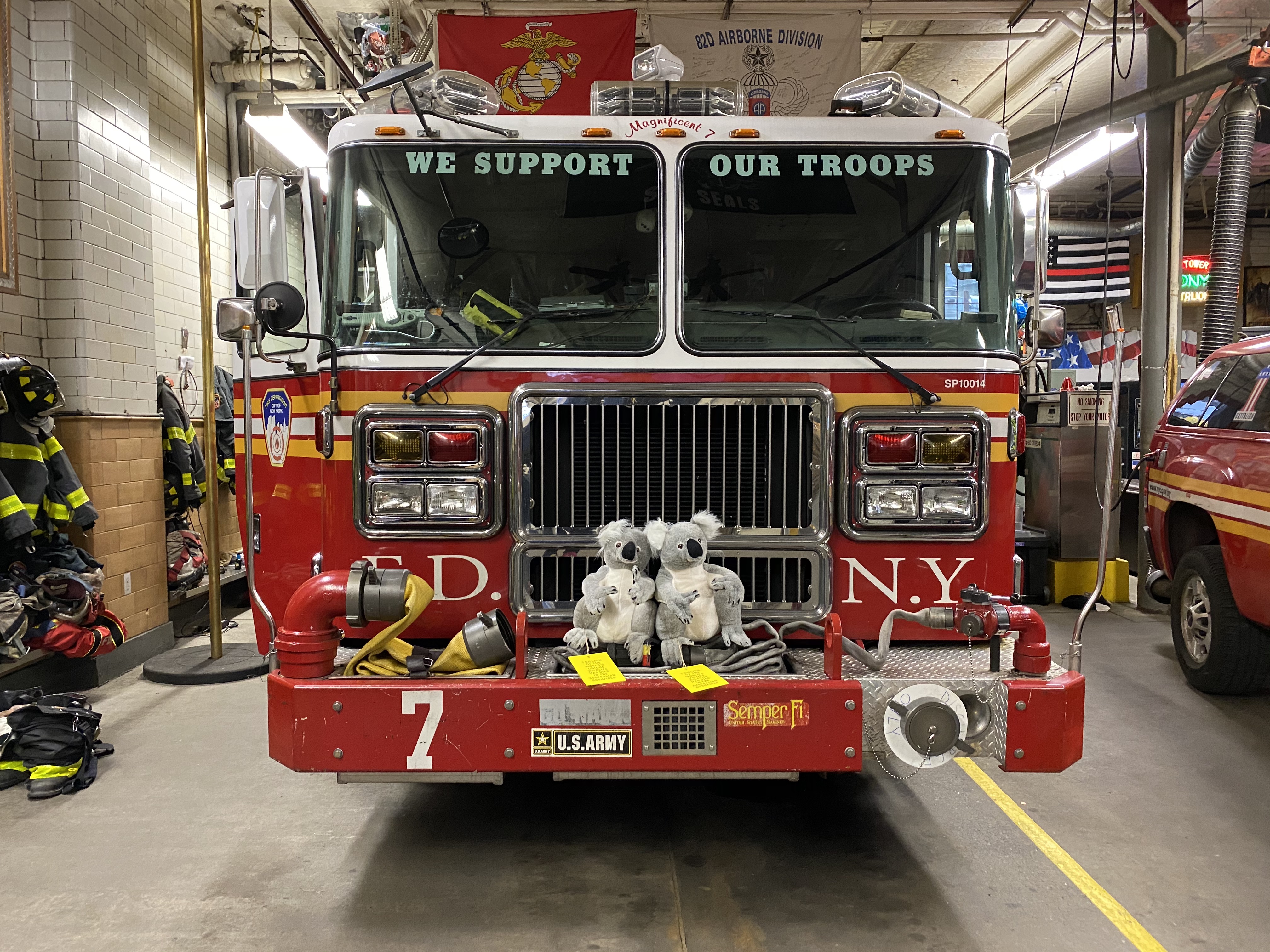 Seen+Noted: Cummins&Partners in New York takes action to help furry friends in Australia