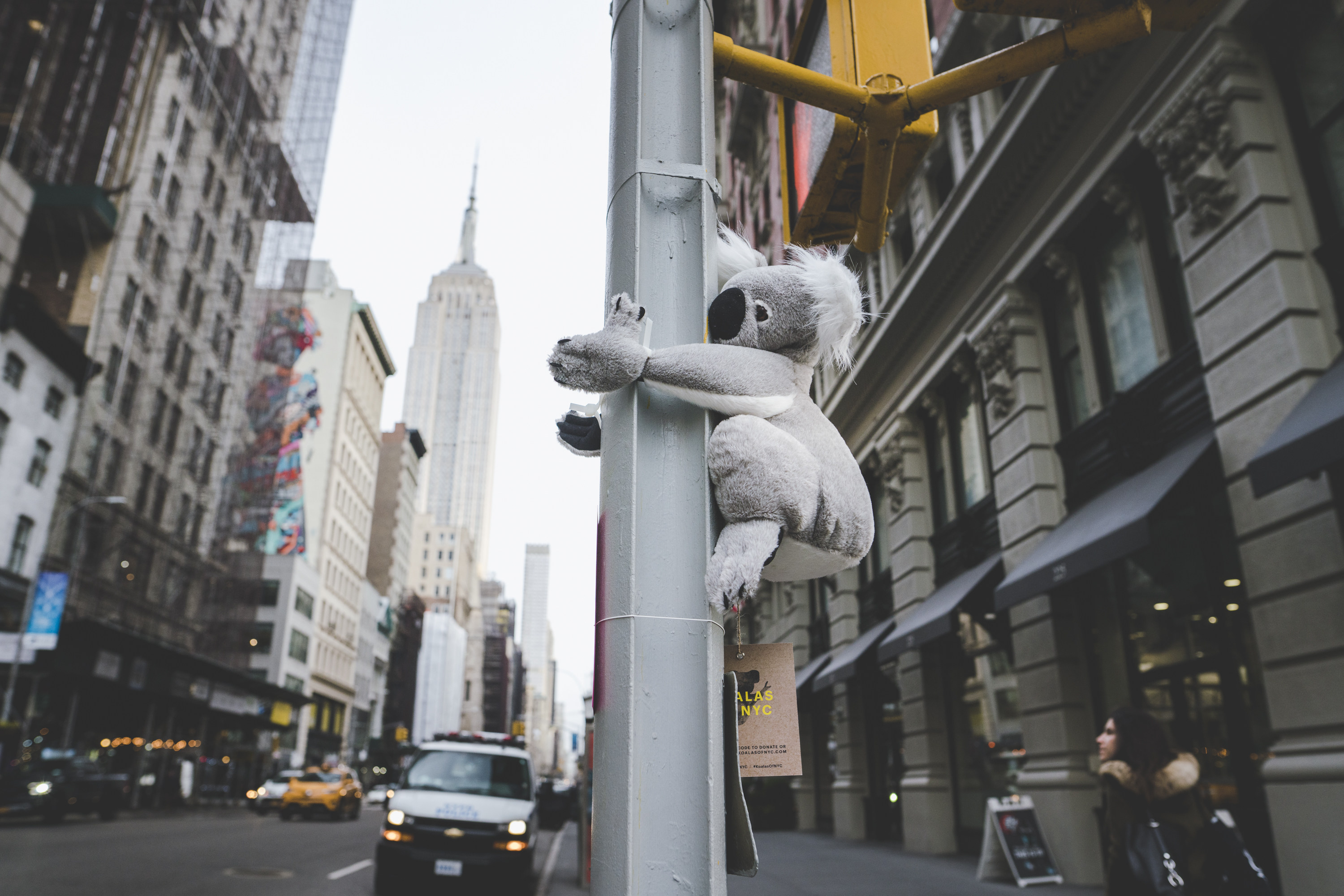 Seen+Noted: Cummins&Partners in New York takes action to help furry friends in Australia