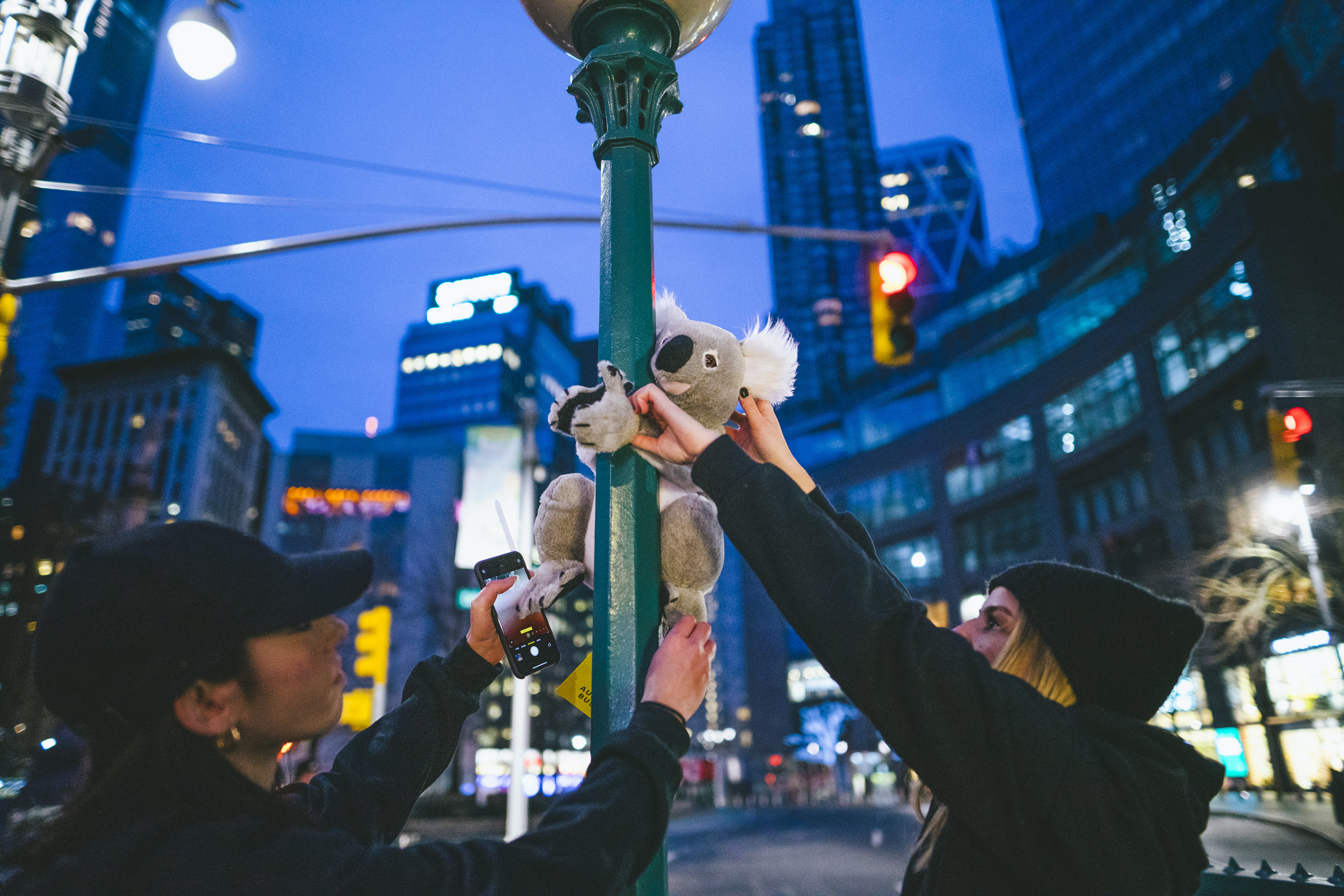 Seen+Noted: Cummins&Partners in New York takes action to help furry friends in Australia
