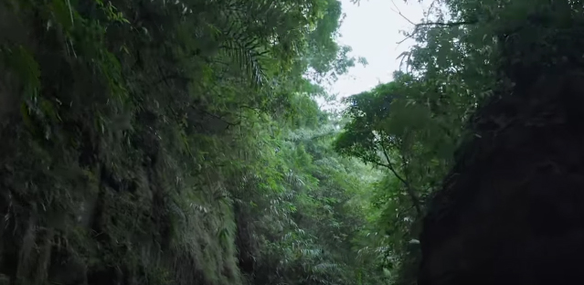 Bajaj Avenger rides with Easy Wanderlings on rhythm in its new campaign by Mullen Lintas Mumbai