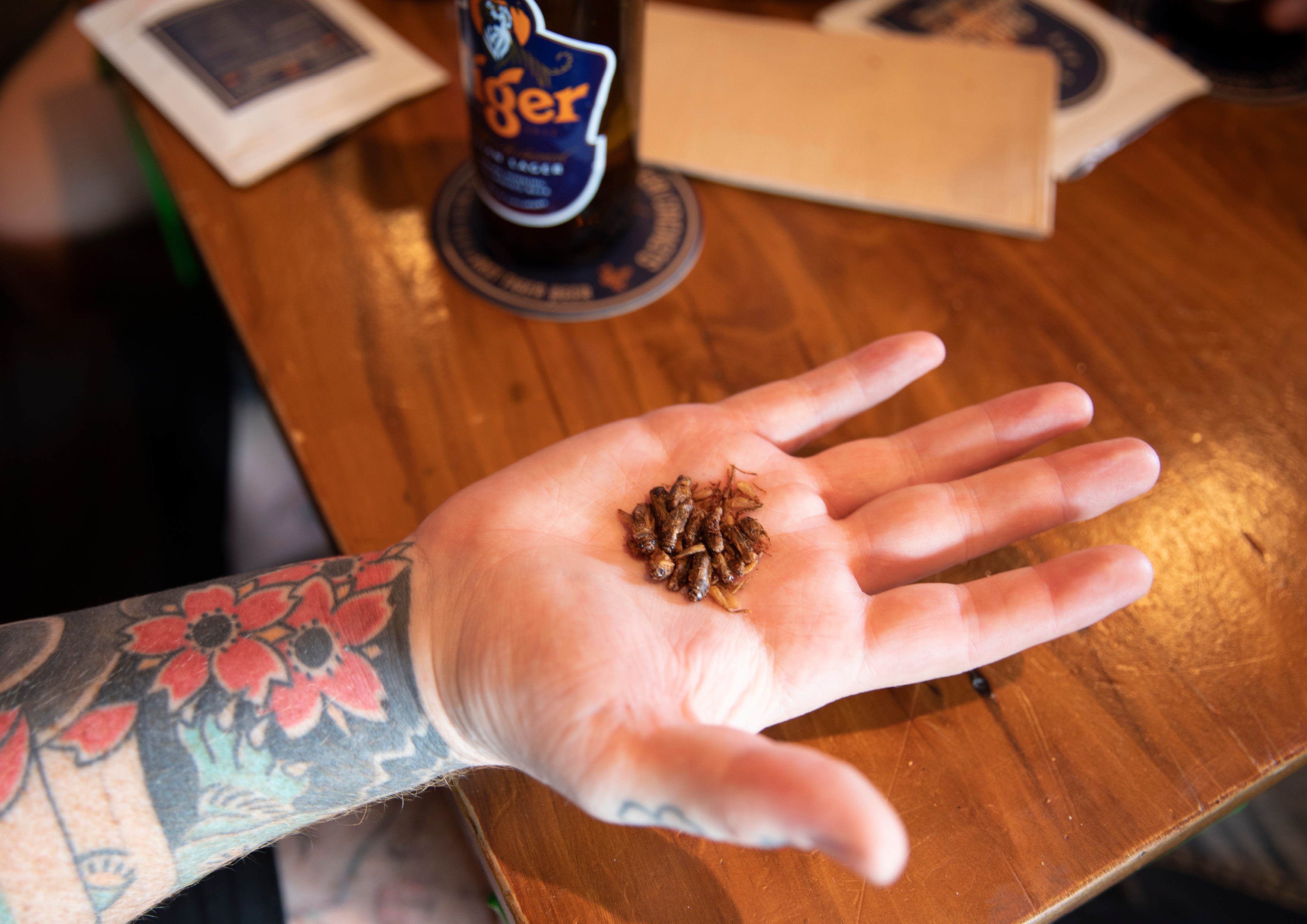 Seen+Noted: Tiger + Colenso BBDO Easternise the Western bar snack in new ‘East of what you know’ platform