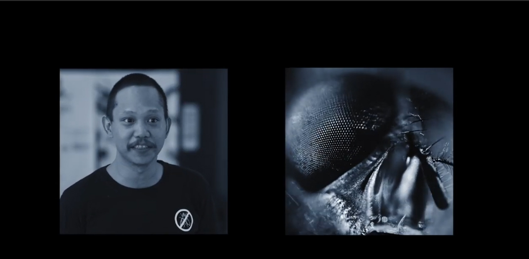 BBDO Guerrero Philippines and CMF warn internet users about the spread of false information