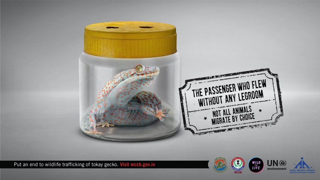 Ogilvy Mumbai releases campaign aiming to put an end to wildlife trafficking