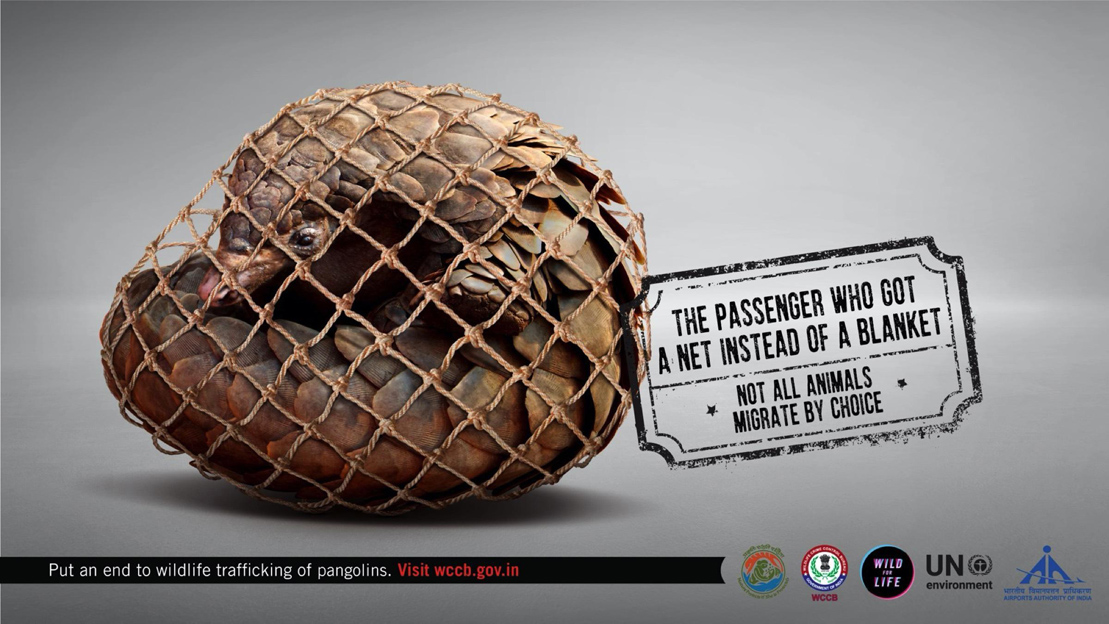 Ogilvy Mumbai releases campaign aiming to put an end to wildlife trafficking