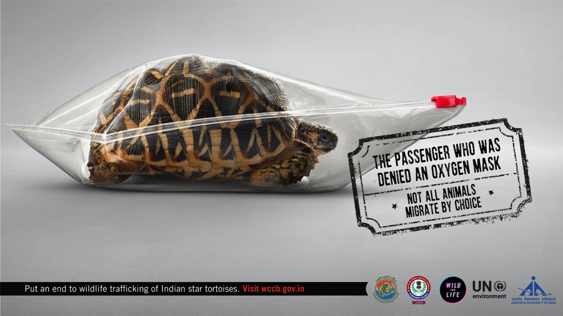 Ogilvy Mumbai releases campaign aiming to put an end to wildlife trafficking