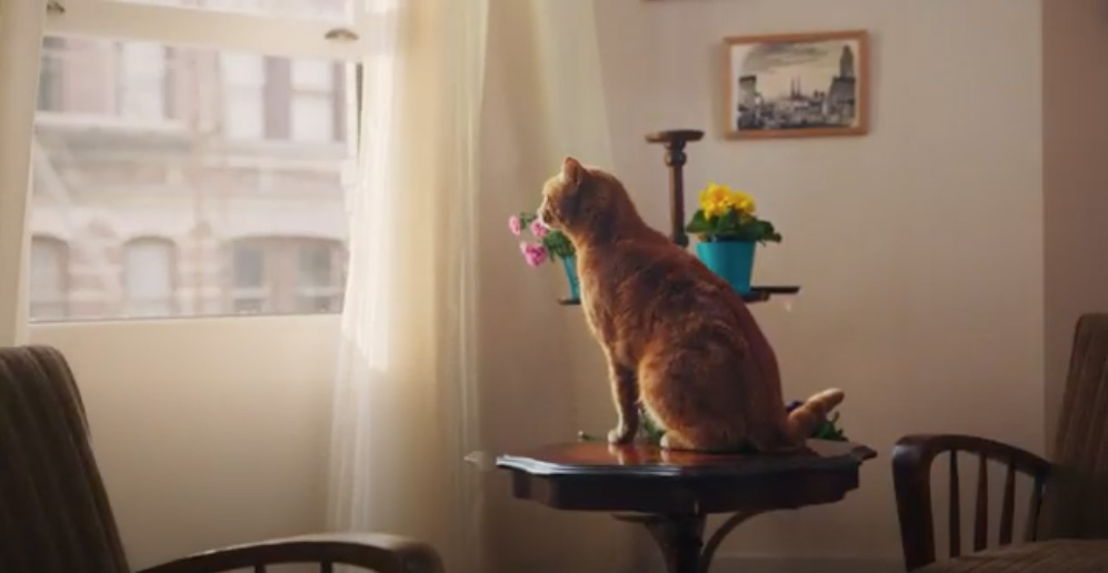 F5 Shanghai and Midea U Window Air Conditioners create the Open and Shut Window Song