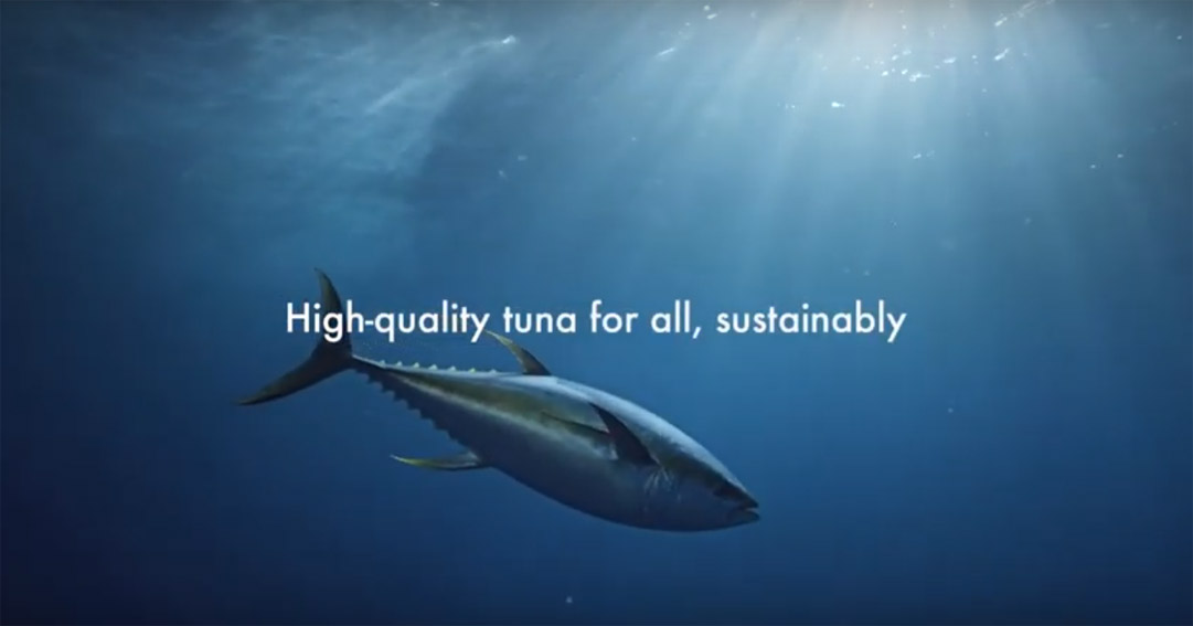 Dentsu Tokyo applies AI expertise to help safeguard the tuna industry’s future