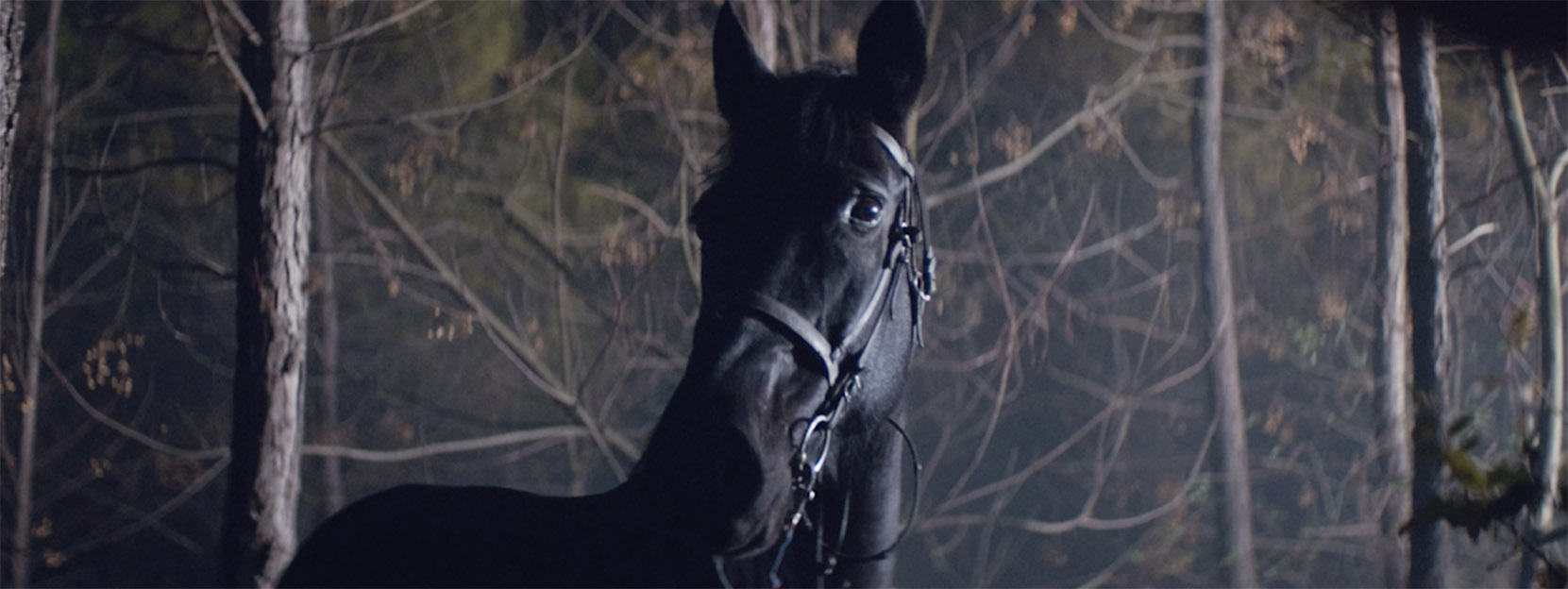 Sweetshop’s Camille Marotte directs global campaign for mobile phone brand Oppo
