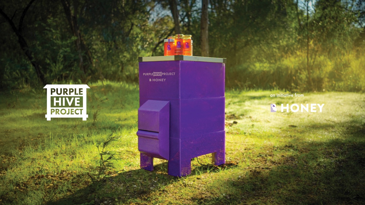 Seen+Noted: Bega launches the ‘Purple Hive Project’ to protect Australian bees