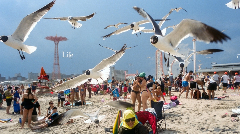 Seen+Noted: Droga5 New York releases chaotic ‘Life Needs Truth’ NY Times campaign