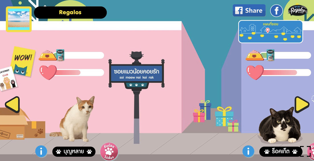 GREYnJ UNITED Bangkok partners with Regalos and the Cat Republic Club to keep cats fed during COVID-19