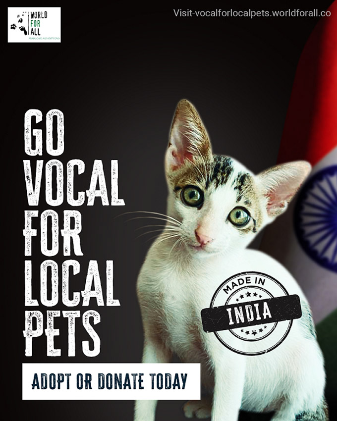 Tonic Worldwide India gives stray pets a voice in this campaign for World For All Animal Care & Adoptions