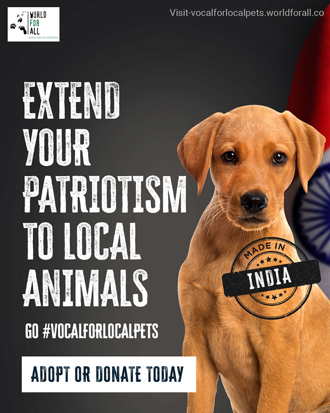 Tonic Worldwide India gives stray pets a voice in this campaign for World For All Animal Care & Adoptions