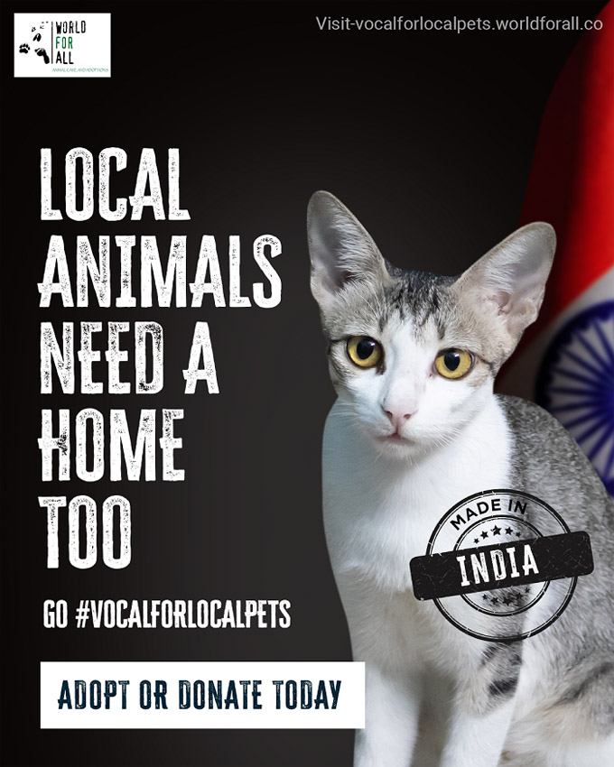 Tonic Worldwide India gives stray pets a voice in this campaign for World For All Animal Care & Adoptions