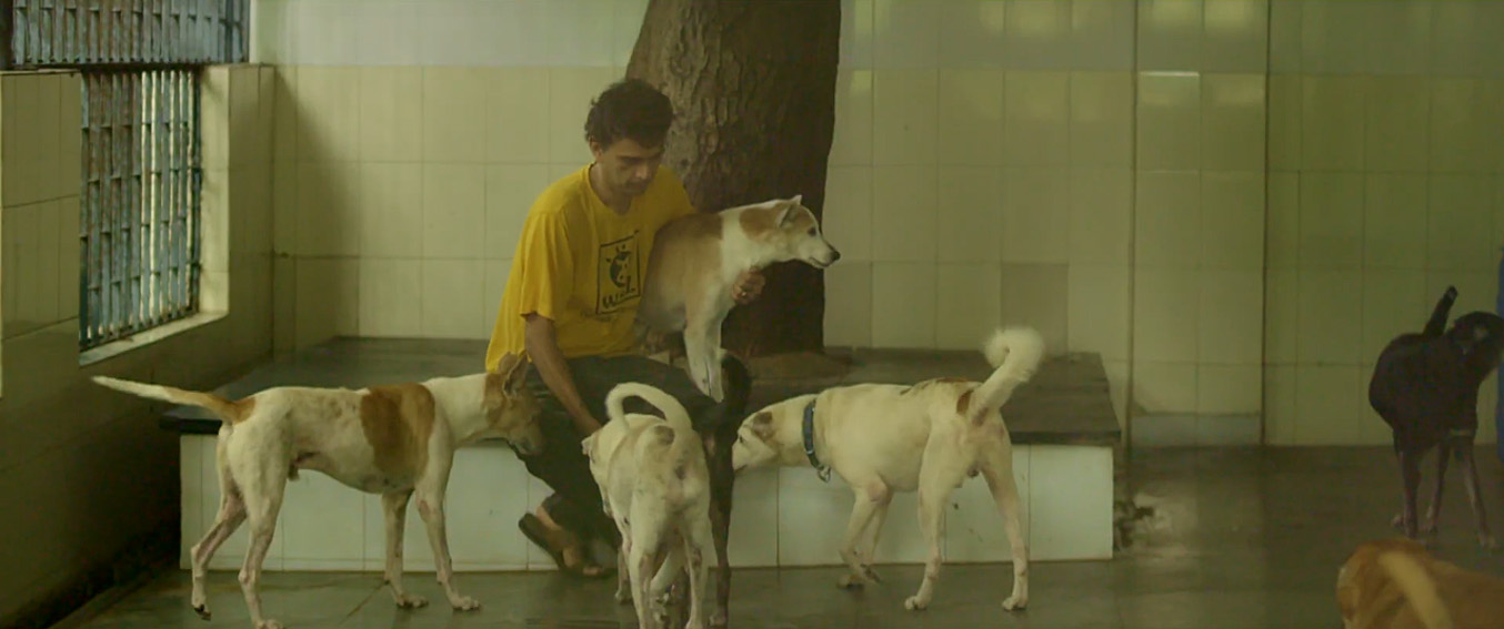 The Welfare Of Stray Dogs invites you to Adopt an Indie in new work via Another Idea India