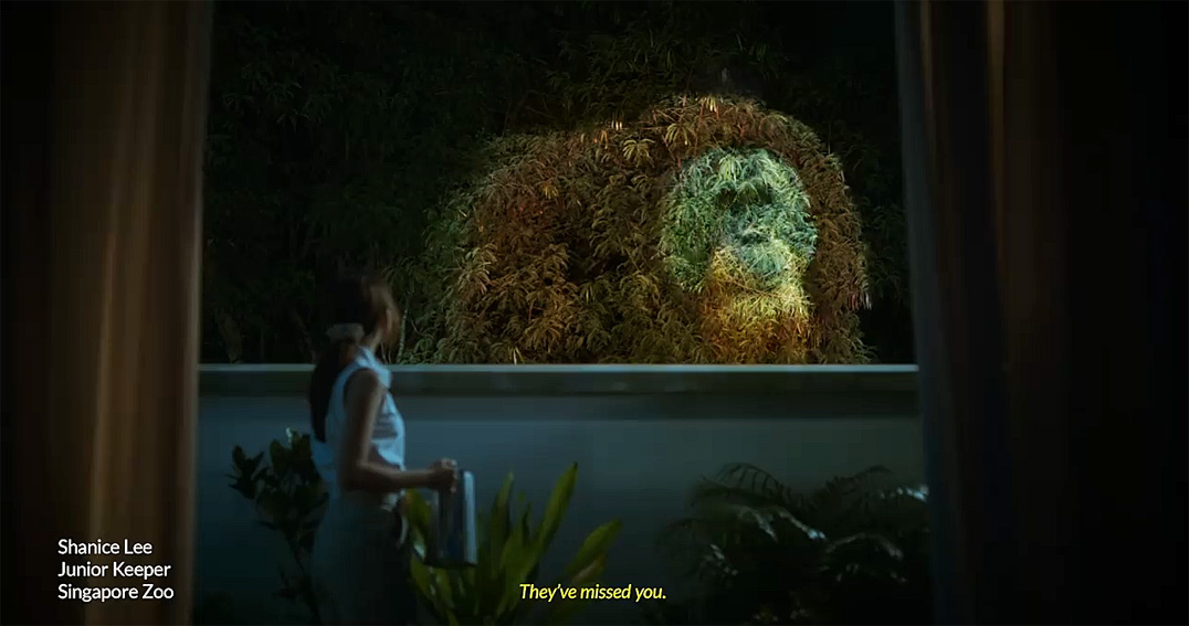 Ogilvy Singapore campaign for Changi Airport pays tribute to local tourism community as they prepare for visitors to return