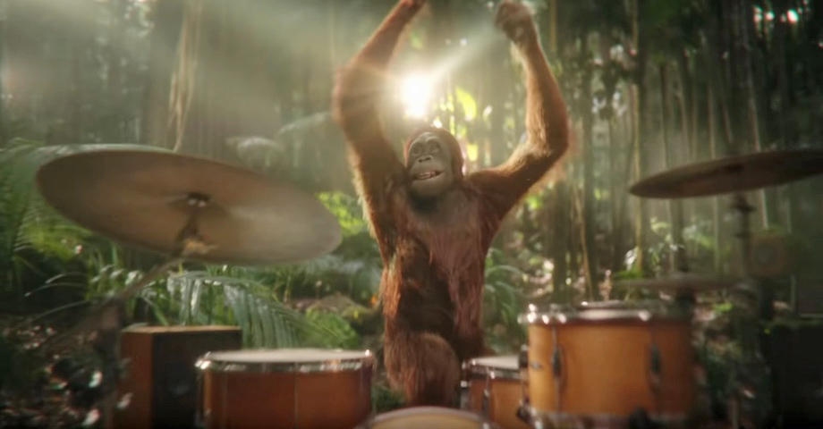 Darrell Lea goes 100% palm oil free and takes inspiration from the lauded Cadbury Gorilla commercial in new Aussie TV campaign